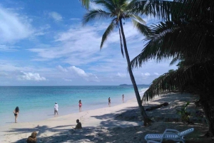 From Panama City: Beach Day Pass in Las Perlas Island Resort