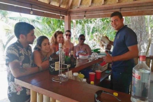 From Panama City: Beach Day Pass in Las Perlas Island Resort
