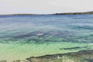 From Panama City: Beach Day Pass in Las Perlas Island Resort