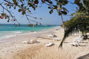From Panama City: Beach Day Pass in Las Perlas Island Resort
