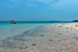 Desde Ciudad de Panamá: Pase de un día de playa en Las Perlas Island Resort