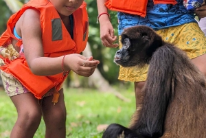 Panama City; Två dagar i Isla Grande Colon, allt inkluderat