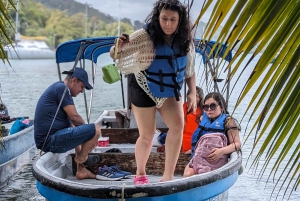 Panama City; kaksi päivää Isla Grande Colonilla, kaikki sisältyy hintaan.