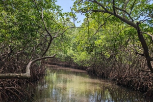 Panama City ; deux jours à Isla Grande Colon, tout compris