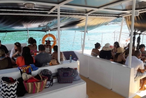 From Panama City: Catamaran Cruise to Taboga Island