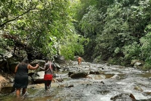 From Panama City: Chagres Rainforest and Embera Village Tour