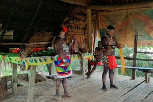 From Panama City: Chagres Rainforest and Embera Village Tour