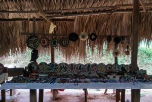 Desde Ciudad de Panamá: Excursión a la Selva Tropical de Chagres y al Pueblo Embera