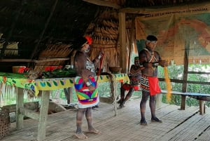 Desde Ciudad de Panamá: Excursión a la Selva Tropical de Chagres y al Pueblo Embera