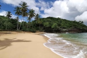 Da Cidade do Panamá: Viagem de um dia à Praia do Caribe