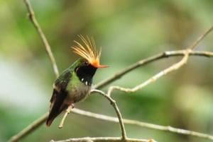 From Panama City: El Valle de Anton Private Full-Day Tour