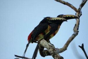 From Panama City: El Valle de Anton Private Full-Day Tour