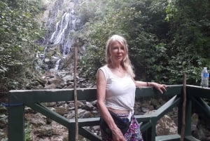 Från Panama City: Privat heldagstur till El Valle de Anton