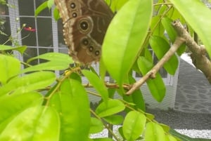 Från Panama City: Privat heldagstur till El Valle de Anton