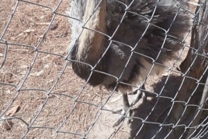 Från Panama City: Privat heldagstur till El Valle de Anton