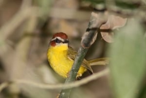 Från Panama City: Privat heldagstur till El Valle de Anton