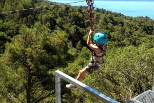 Från Panama City: Privat heldagstur till El Valle de Anton