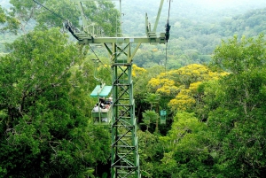 From Panama City: Gamboa Rainforest Guided Tour with Lunch