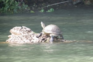 From Panama City: Gatun Lake and Monkey Island Tour