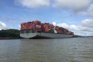 From Panama City: Monkey Island and Sloth Sanctuary Tour