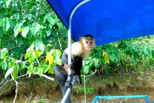 Desde Ciudad de Panamá: islas de los Monos por el lago Gatún