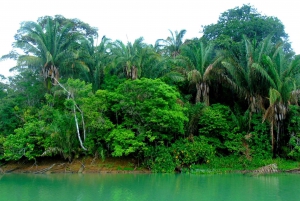 Desde Ciudad de Panamá: islas de los Monos por el lago Gatún