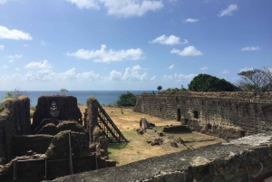 From Panamá City: Panama Canal and Fort San Lorenzo Tour