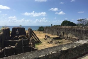 From Panamá City: Panama Canal and Fort San Lorenzo Tour