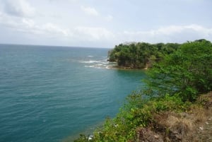 From Panamá City: Panama Canal and Fort San Lorenzo Tour
