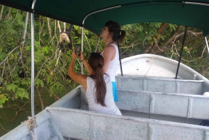 From Panama City: Panama Canal and Monkey Island Tour