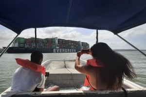 Ciudad de Panamá: tour del canal de Panamá y la Isla Mono