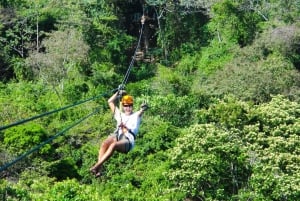 Von Panama City aus: Zipline-Abenteuer im Regenwald