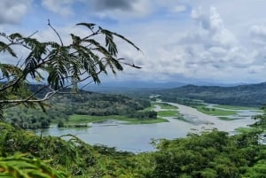 Fra Panama City: Rainforest Zipline Adventure