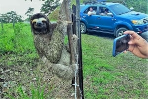 Vanuit Panama Stad: San Blas Eilanden & Gemeente Dagtocht
