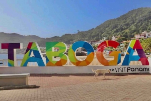 From Panama City: Taboga Island Beach Day Pass