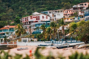 From Panama City: Taboga Island Beach Day Pass