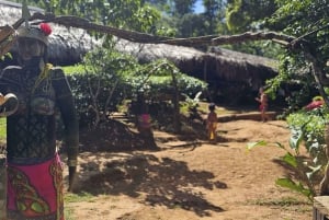 Da RIU Playa Blanca: tribù Embera e tour sul fiume con pranzo