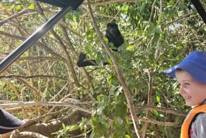 From Riu Playa Blanca - Monkey Island, Sloth & Old Town Tour