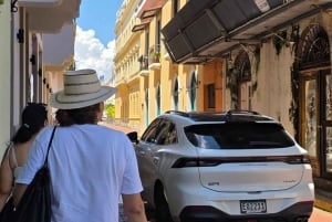 From Riu Playa Blanca - Monkey Island, Sloth & Old Town Tour