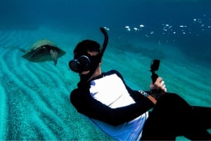 De Santa Catalina: Passeio de barco pelo Parque Nacional Coiba