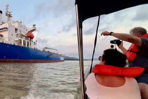 Gatun Boat Tour, Sloth Sanctuary, Wildlife Exhibits + Buffet