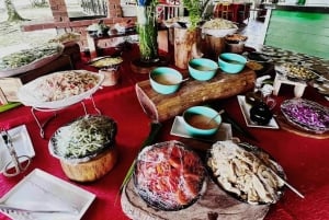 Gatun Boat Tour, Sloth Sanctuary, Wildlife Exhibits + Buffet