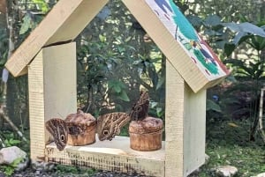 Gatun Boat Tour, Sloth Sanctuary, Wildlife Exhibits + Buffet