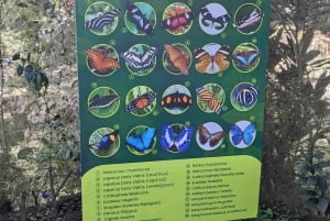 Gatun Boat Tour, Sloth Sanctuary, Wildlife Exhibits + Buffet