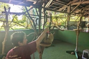 Gatun Boat Tour, Sloth Sanctuary, Wildlife Exhibits + Buffet