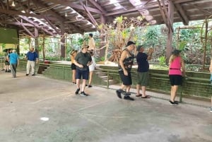 Gatun Boat Tour, Sloth Sanctuary, Wildlife Exhibits + Buffet