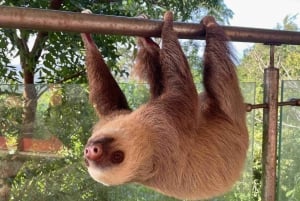 Gatun Lake Panama Boutique Hotel - Détendez-vous dans la nature