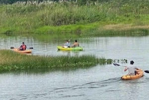 Gatun Lake Panama Boutique Hotel - Ontspan en kom tot rust in de natuur