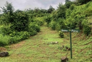 Gatun Lake Panama Boutique Hotel - Détendez-vous dans la nature