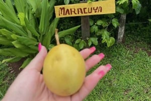 Pass giornaliero per il Gatun Lake Panama Resort - Natura e attività